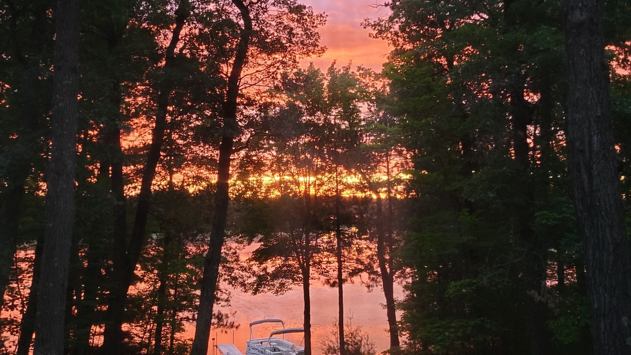 Photo of Others in Webster