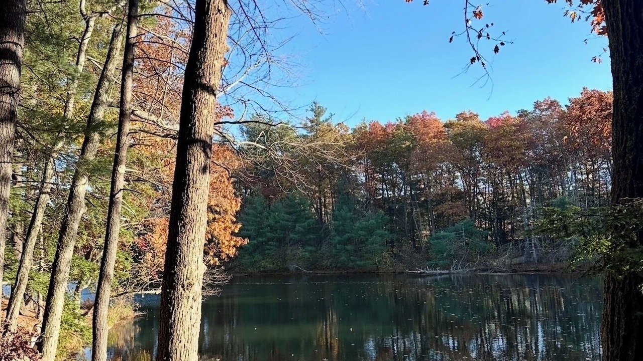 Photo of Others in Hudson