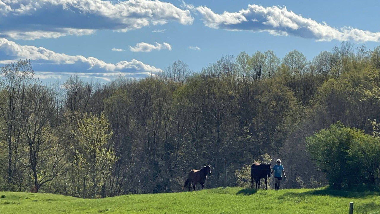 Photo of Others in Salem