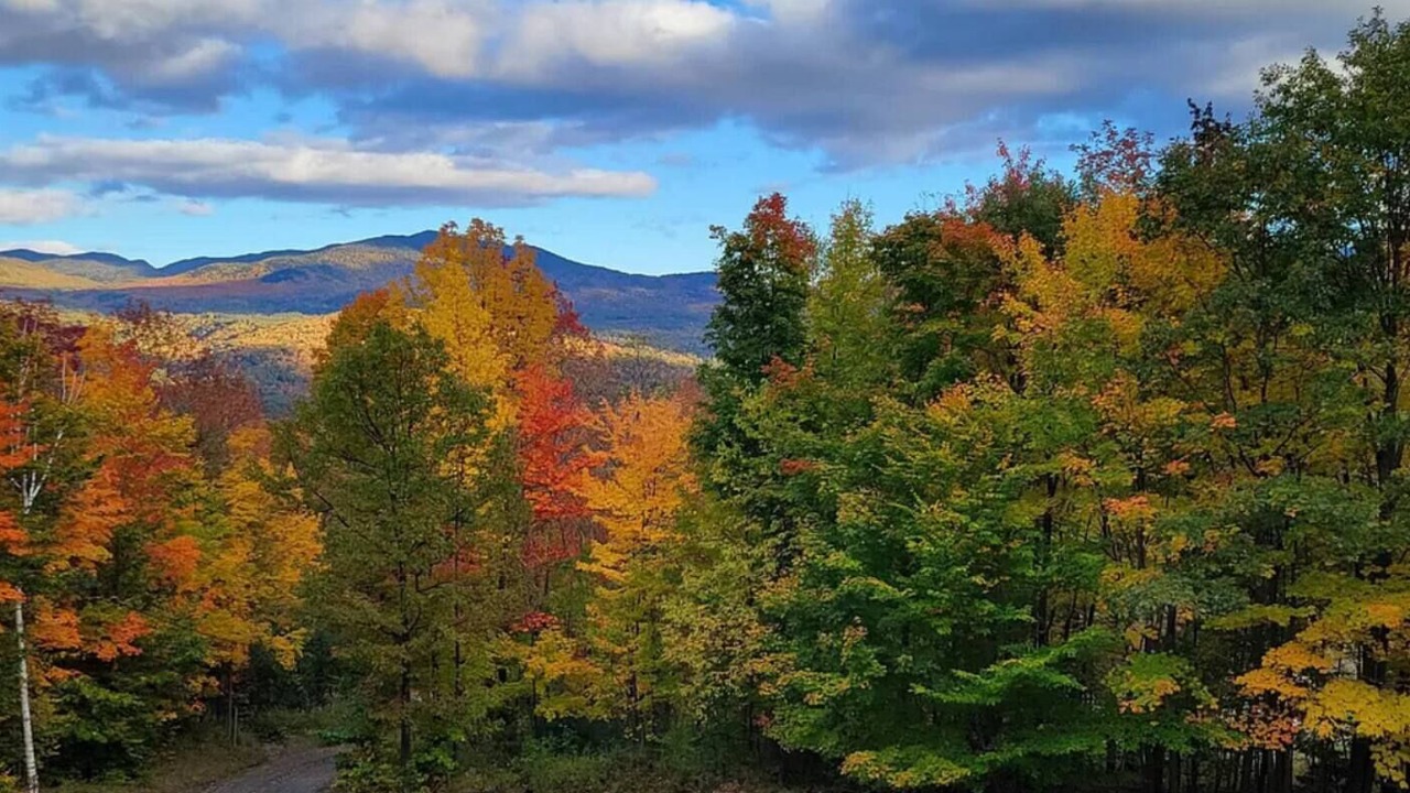 Photo of Others in Keene