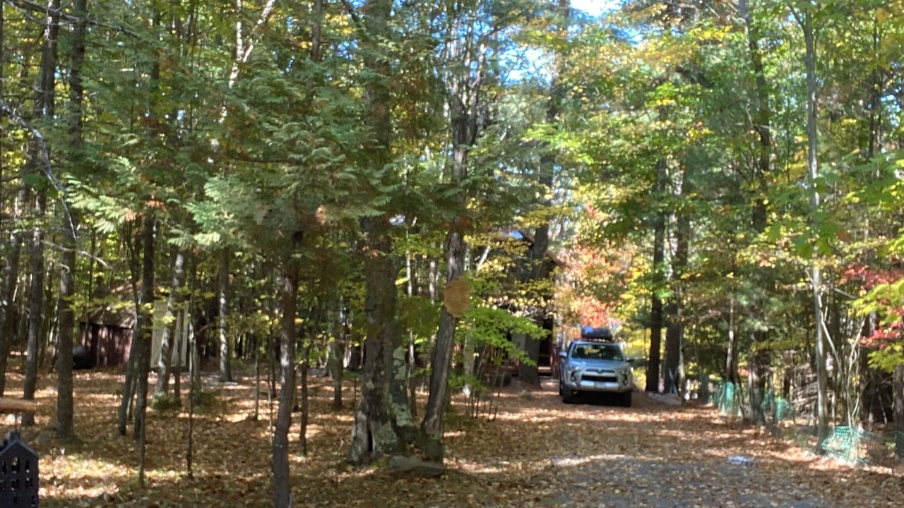 Photo of Outdoor in Jay