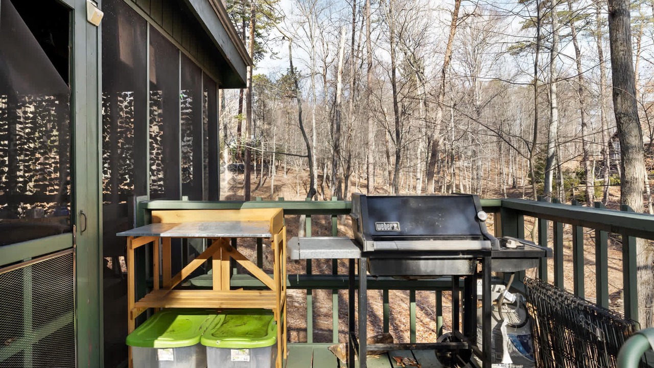 Photo of Outdoor in The Woods