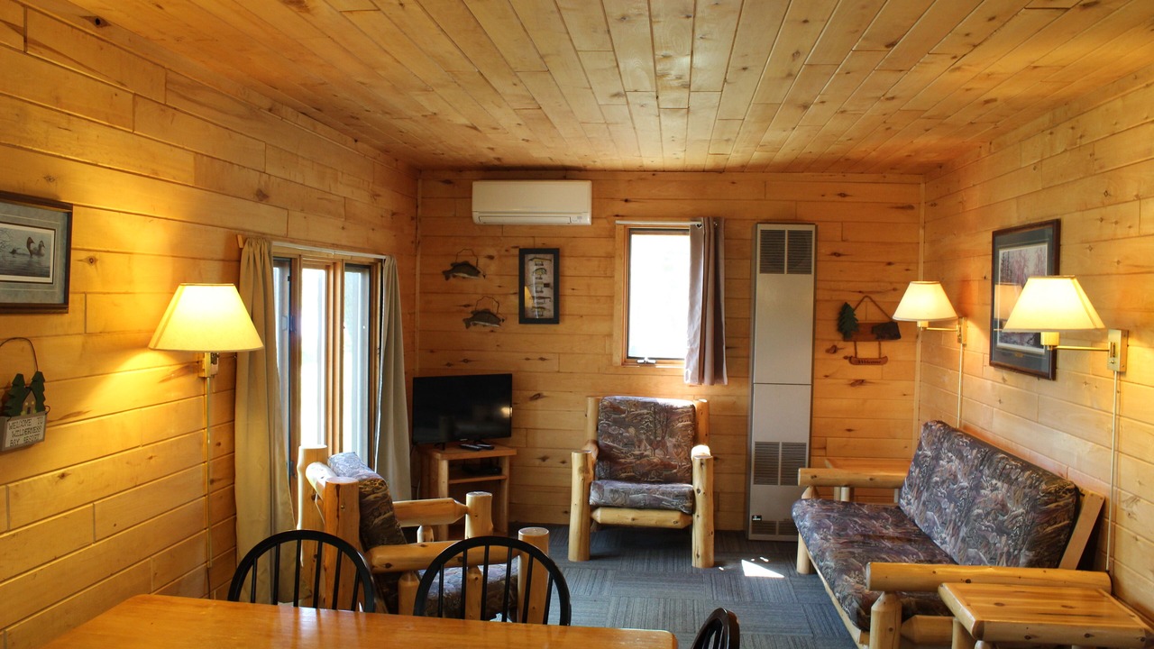 Photo of Livingroom in Park Rapids