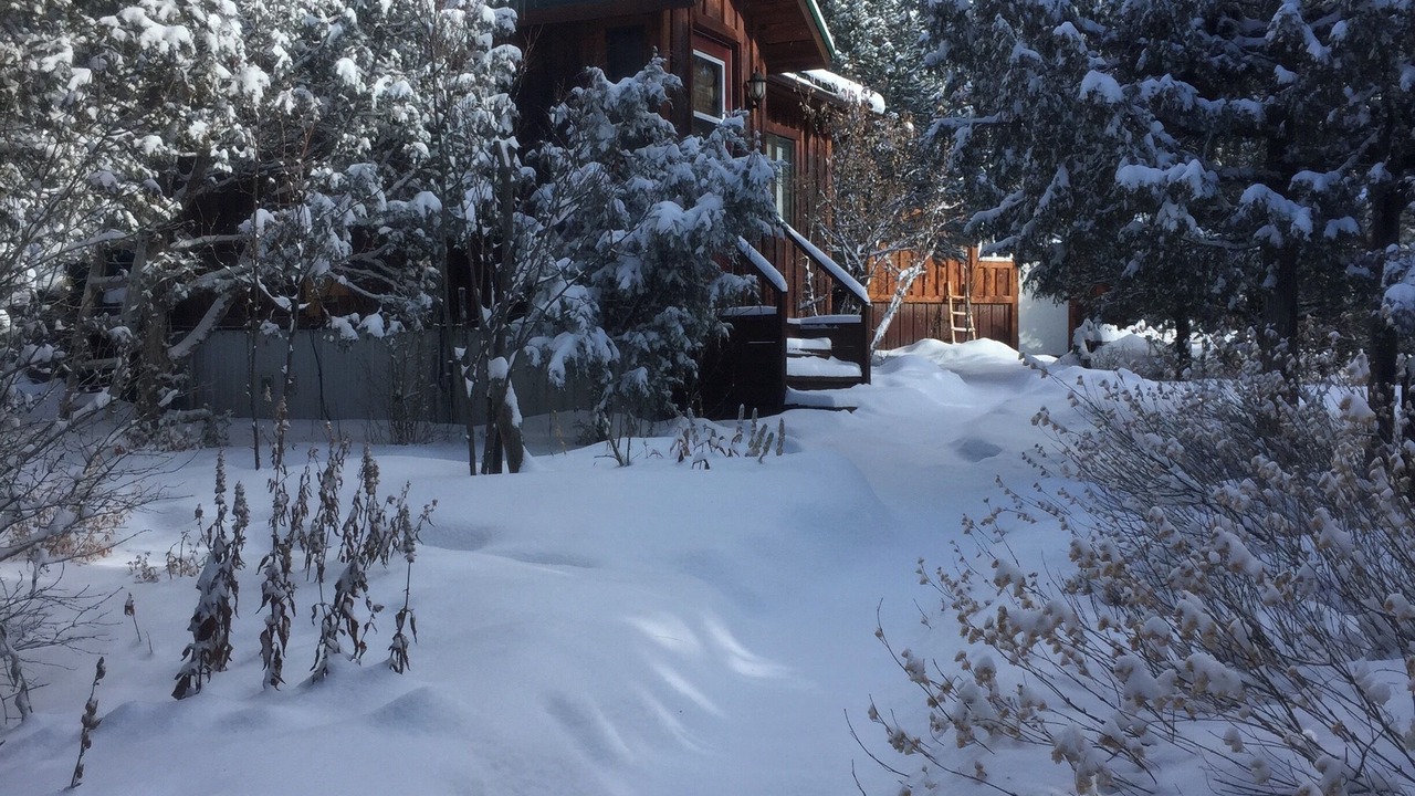 Photo of Outdoor in Valdez