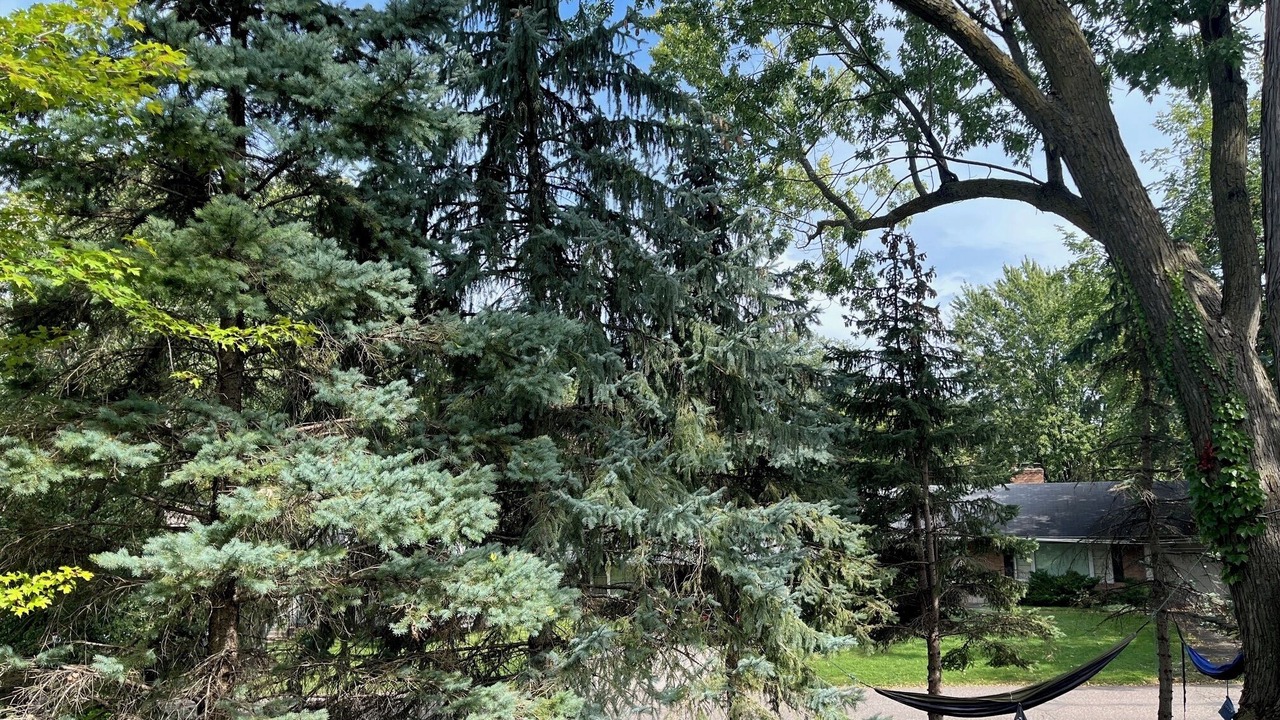 Photo of Outdoor in Edina