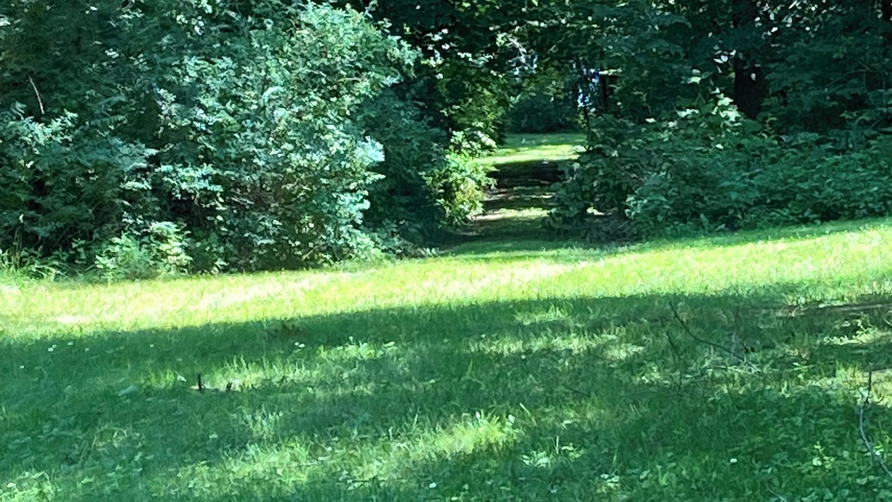 Photo of Others in Willsboro