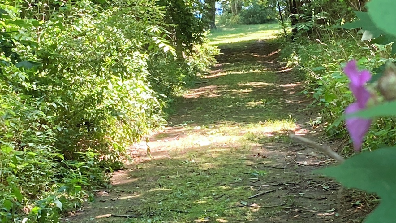 Photo of Others in Willsboro