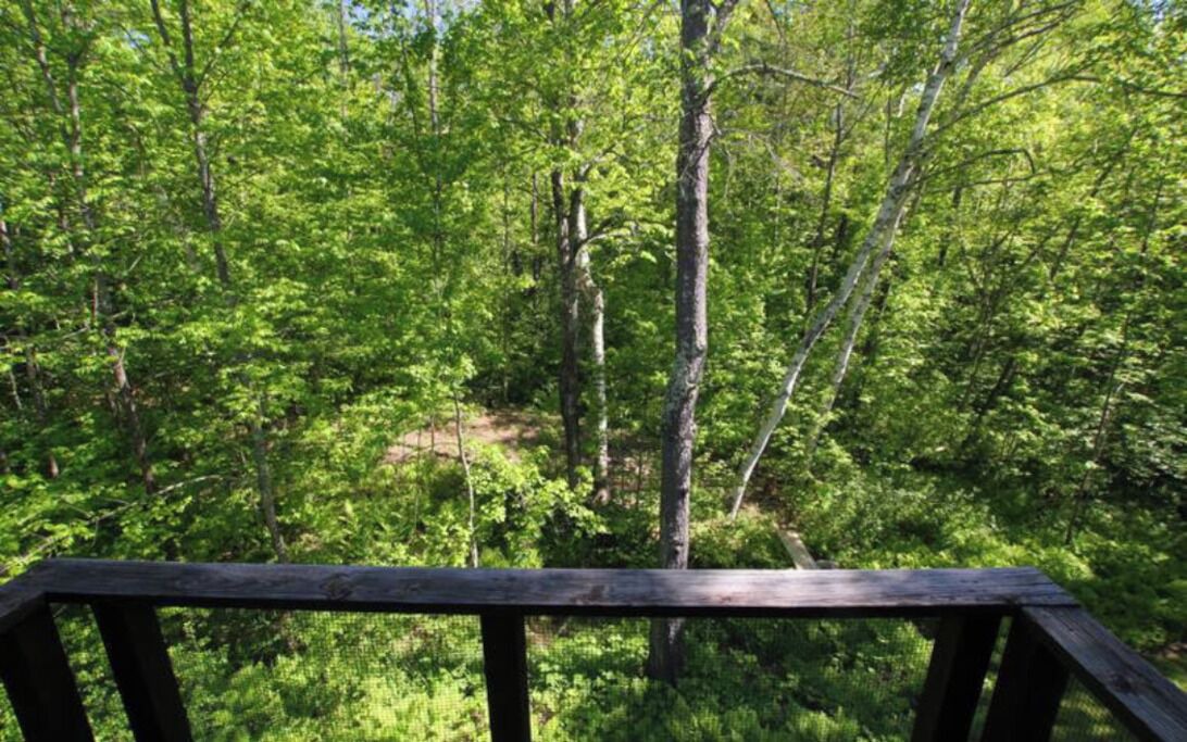 Photo of Outdoor in Elizabethtown