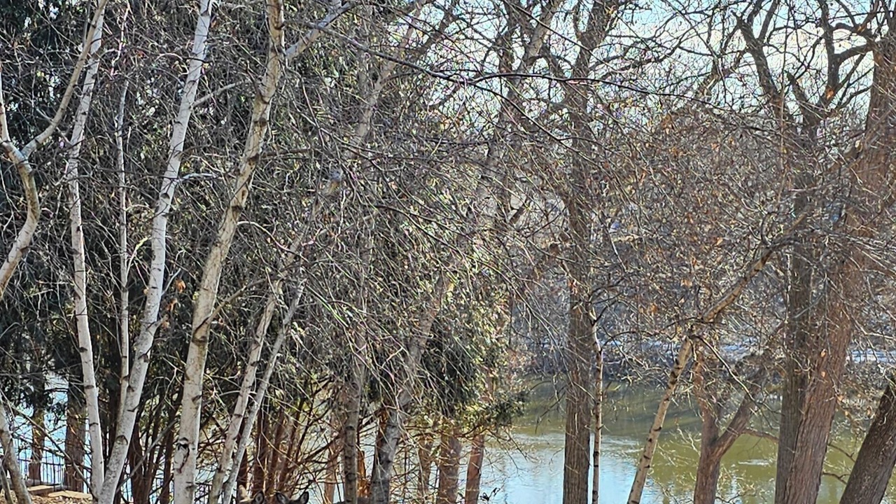 Photo of Others in Kaukauna