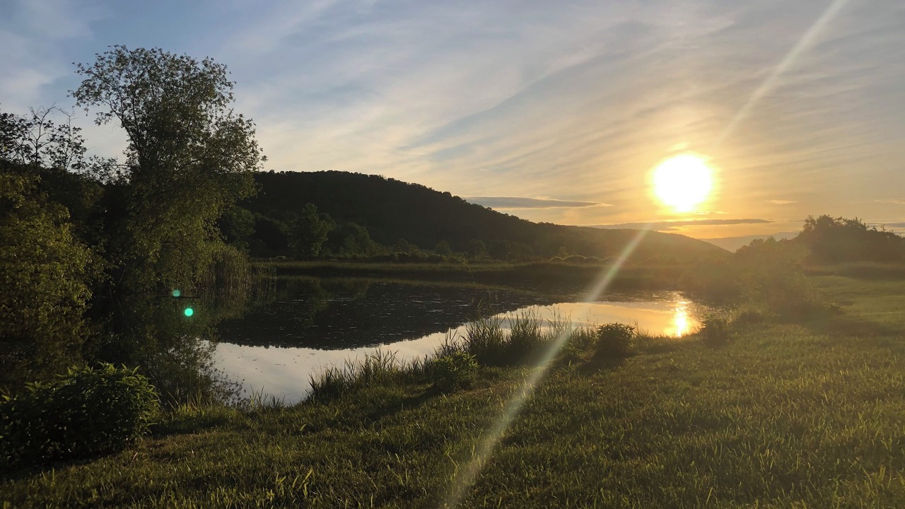 Photo of Others in Middletown Springs