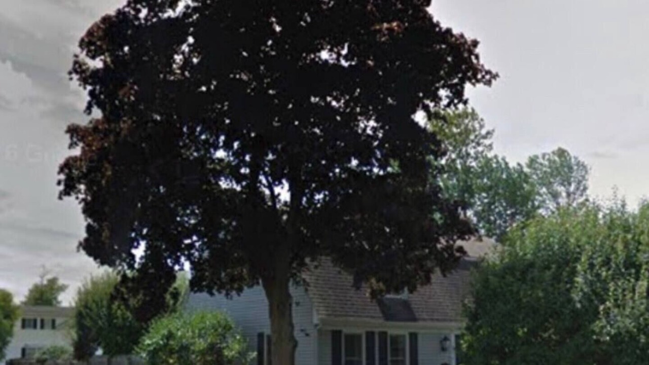 Photo of Outdoor in Plattsburgh