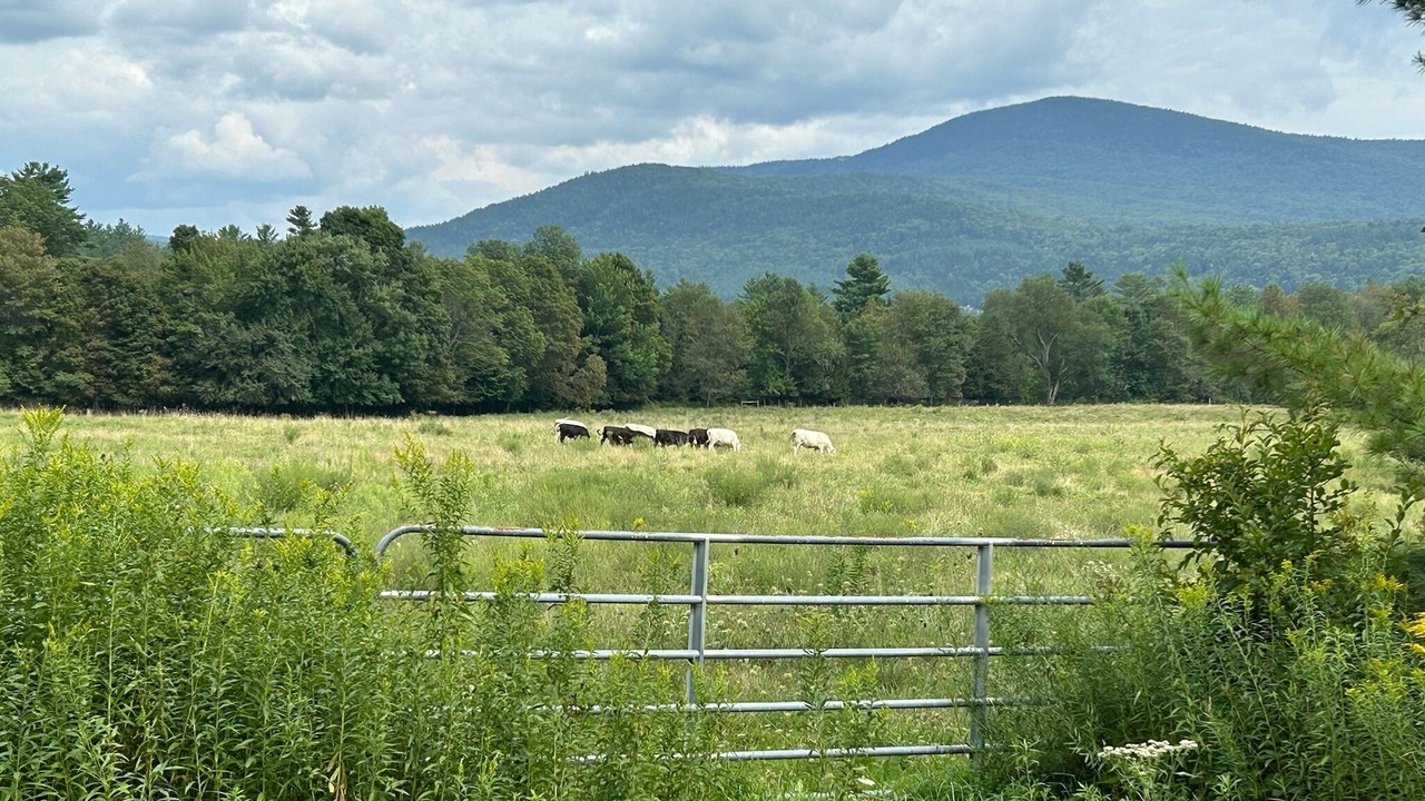 Photo of Others in Waitsfield