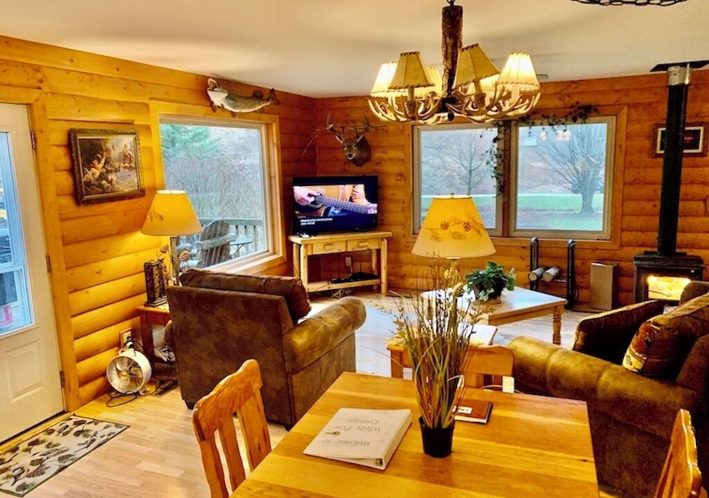 Photo of Livingroom in Lansing