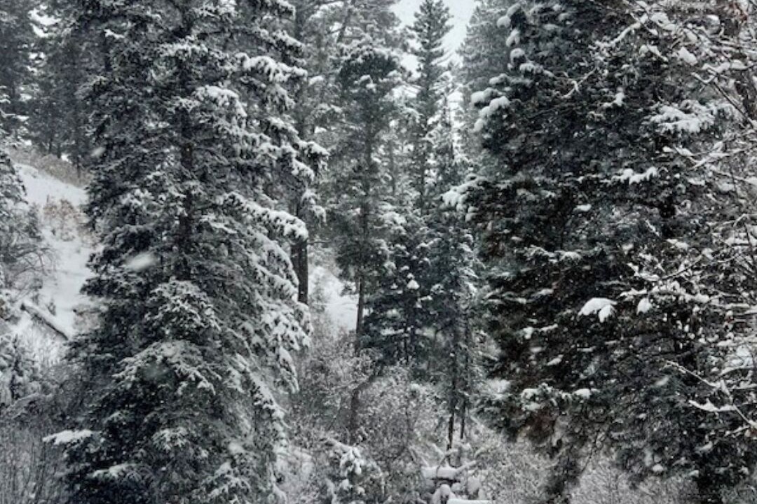 Photo of Outdoor in Taos