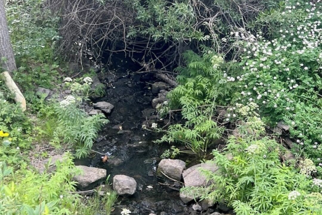 Photo of Others in Taos