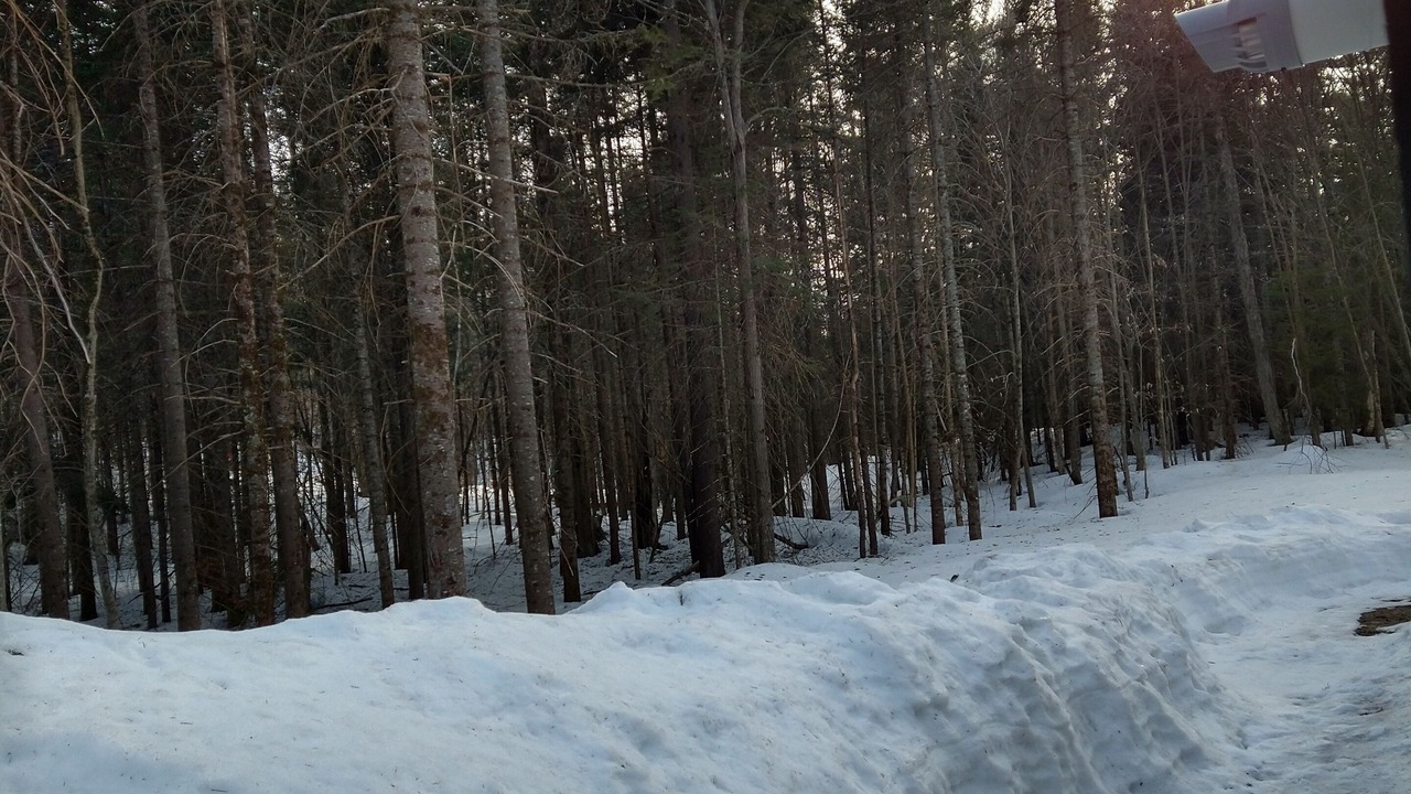 Photo of Outdoor in Malone