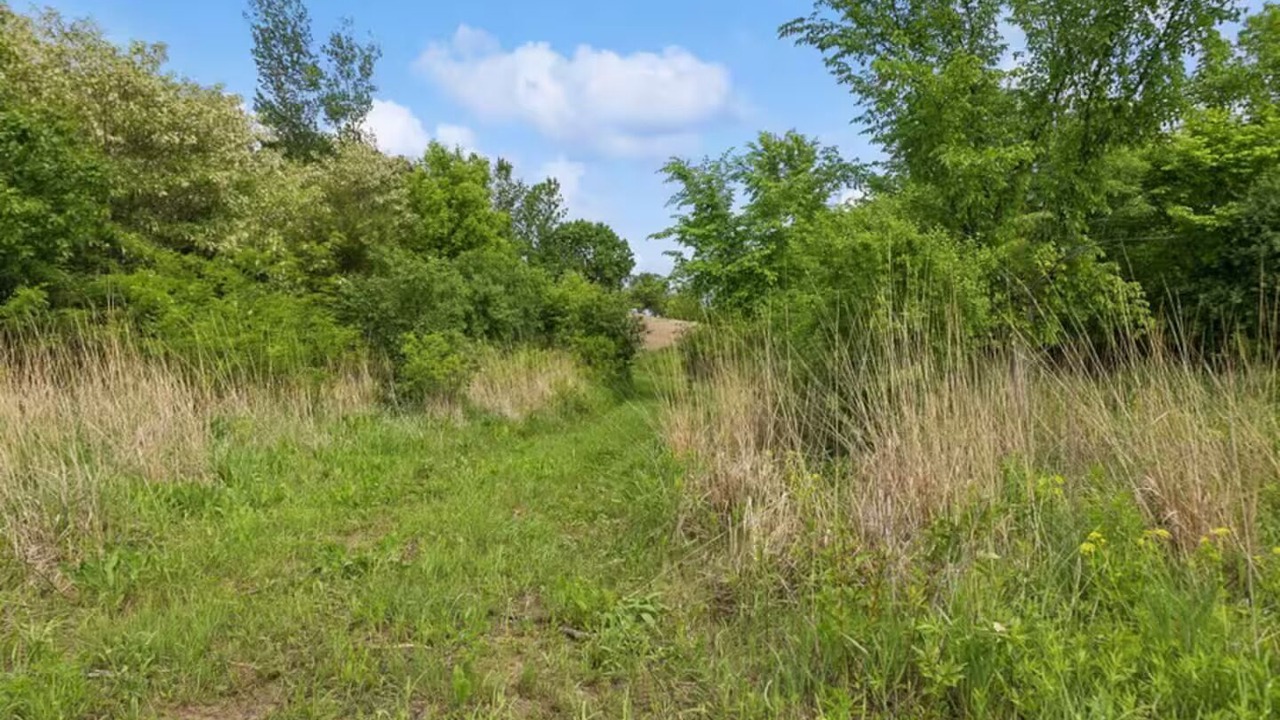 Photo of Others in Waseca County