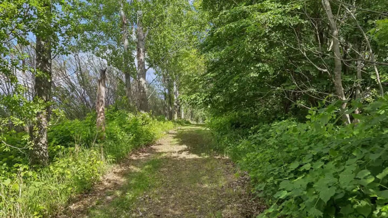 Photo of Others in Waseca County