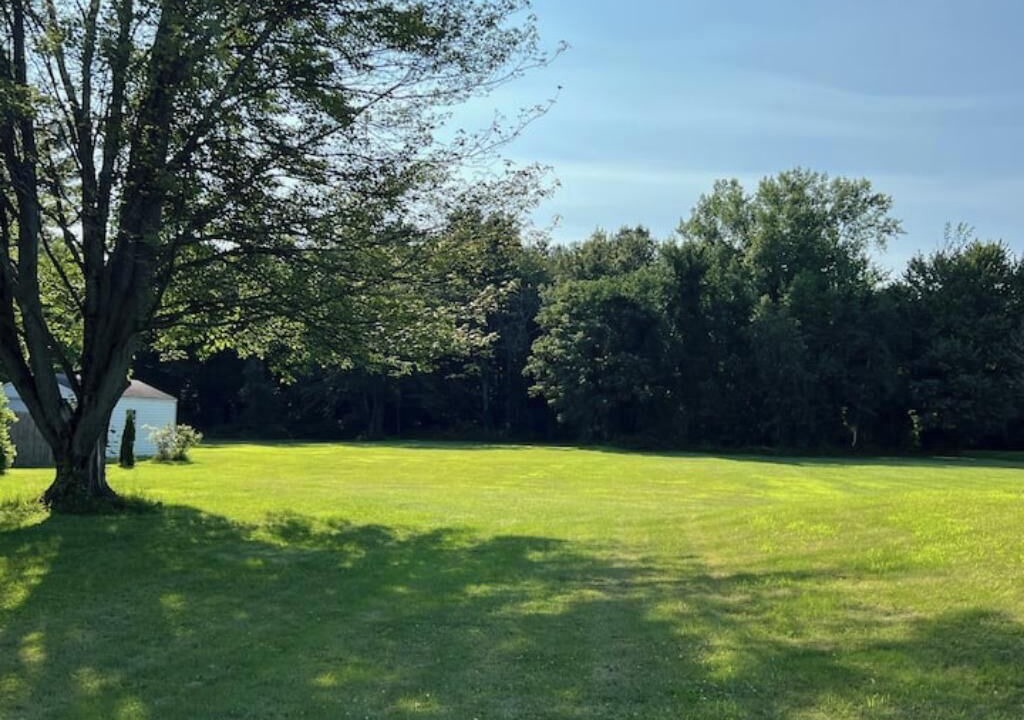 Photo of Outdoor in Malletts Bay