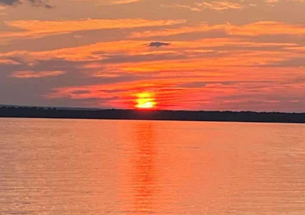 Photo of Others in Malletts Bay