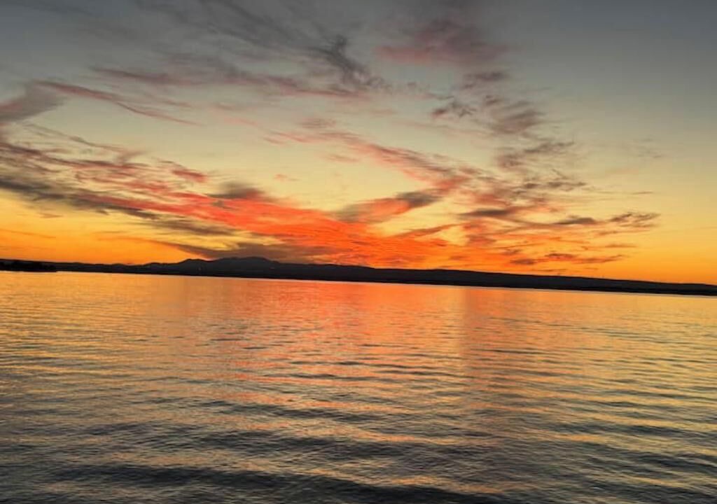 Photo of Others in Malletts Bay