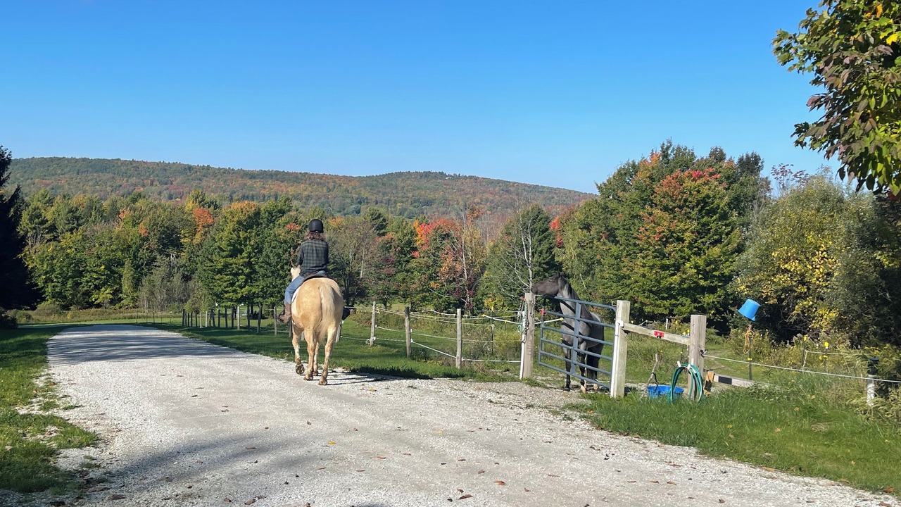 Photo of Others in Hinesburg