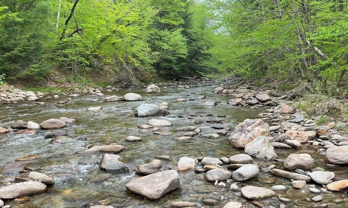 Photo of Others in Stowe Area