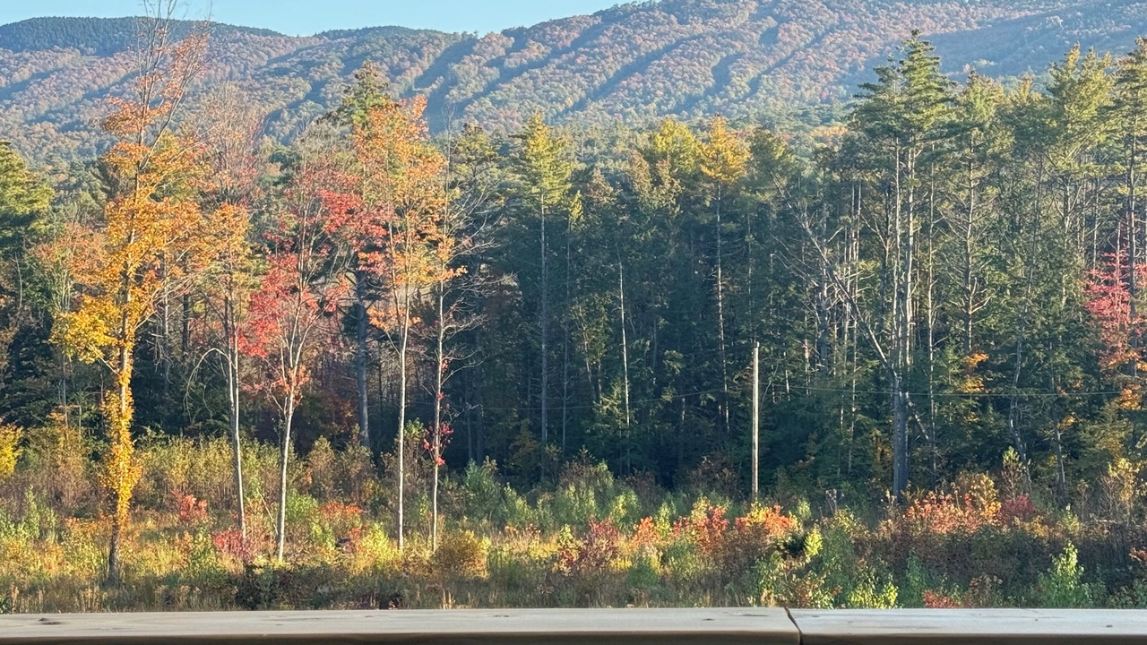 Photo of Outdoor in Danbury
