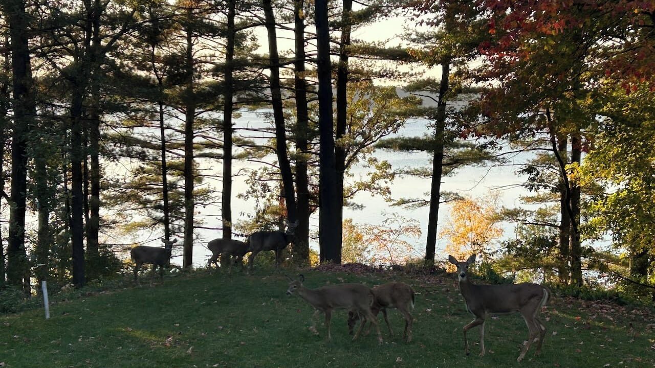 Photo of Others in Menomonie
