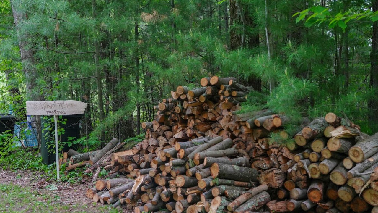 Photo of Others in Pine City