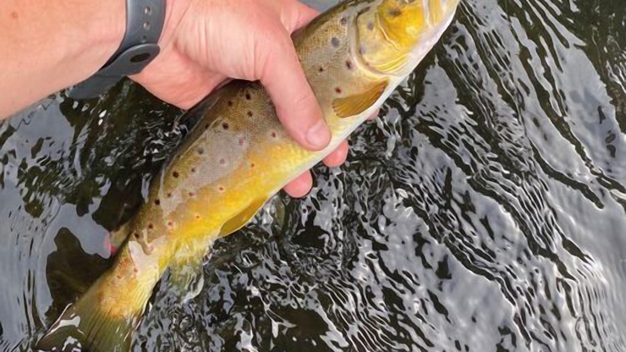 Photo of Others in St Croix Falls