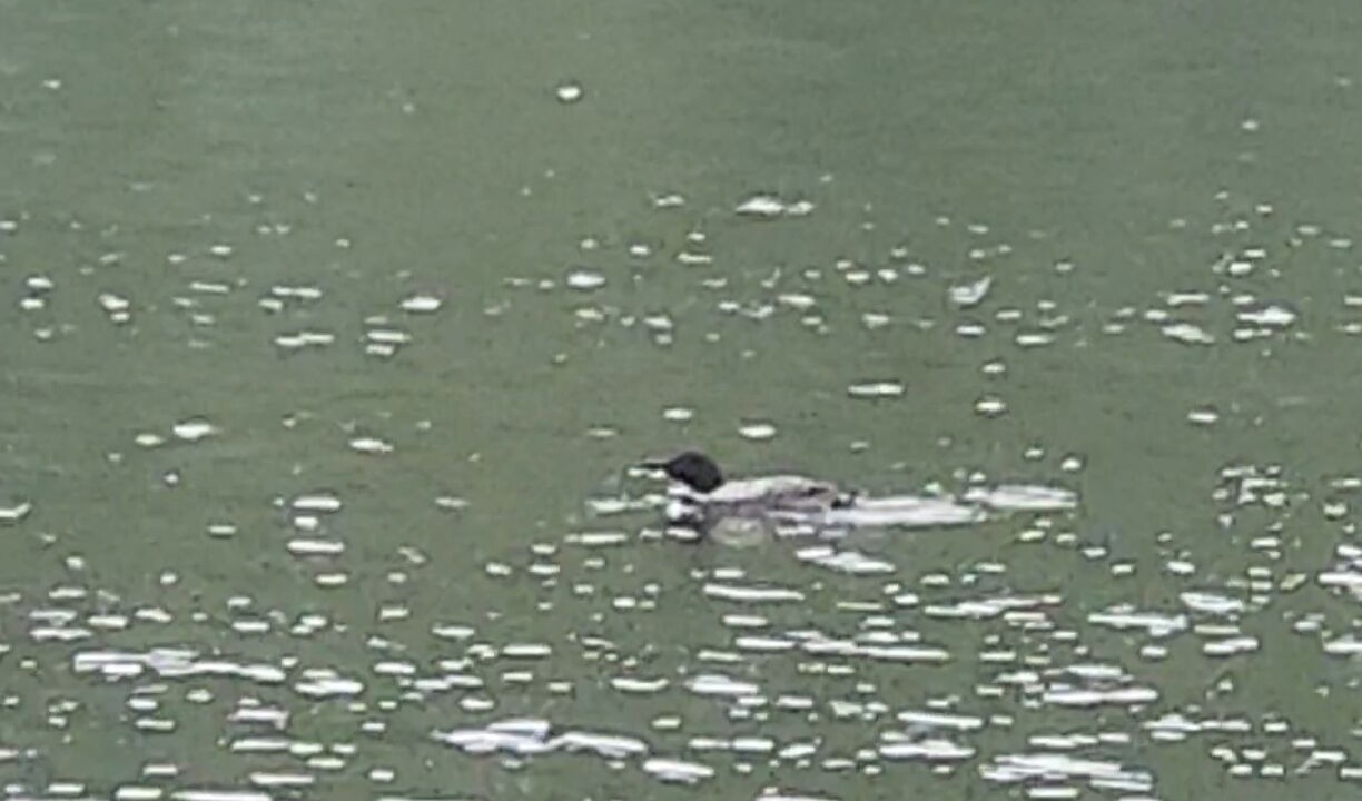Photo of Others in Caroga Lake