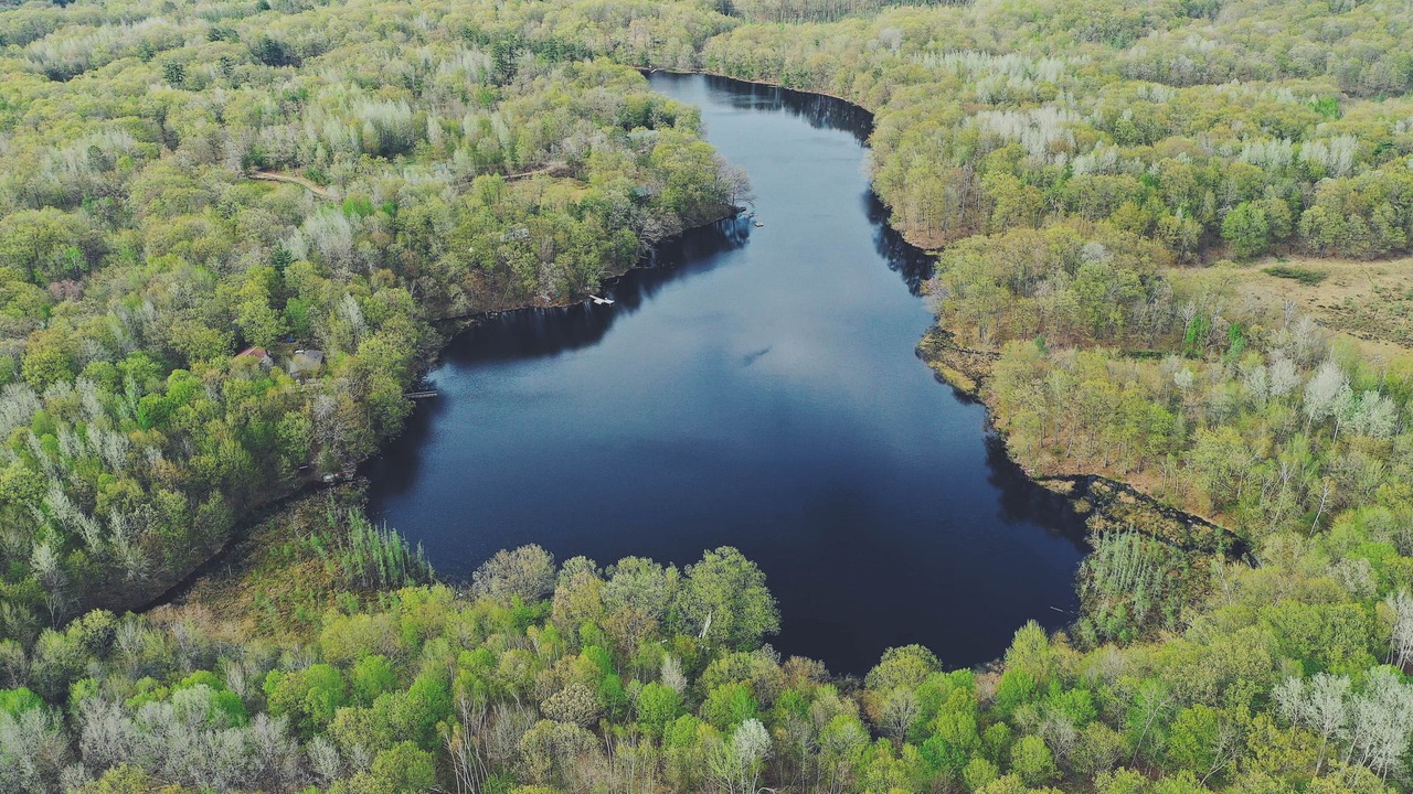Photo of Outdoor in New Auburn
