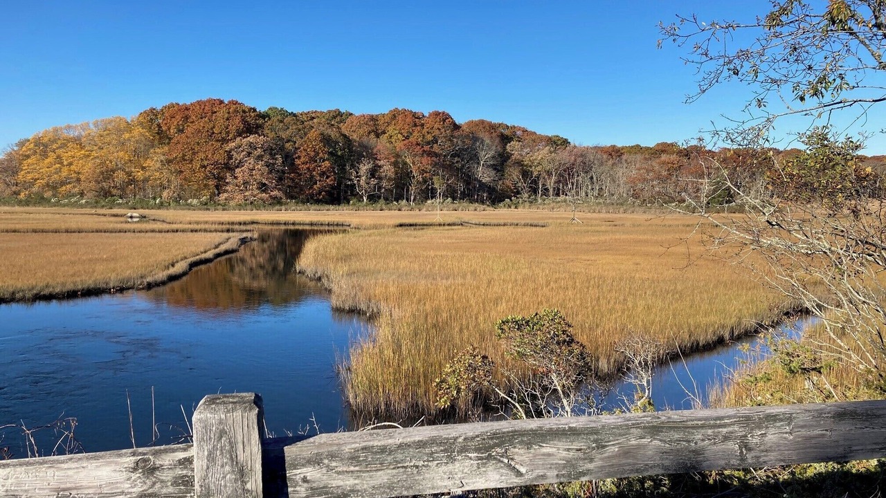 Photo of Others in Groton Long Point