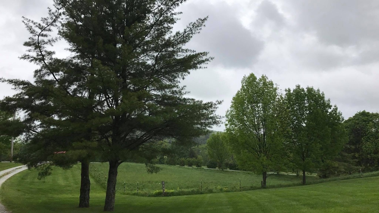 Photo of Others in Hubbardton