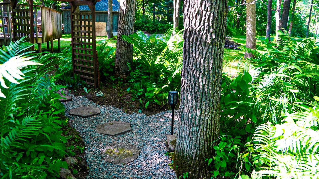 Photo of Outdoor in Markville