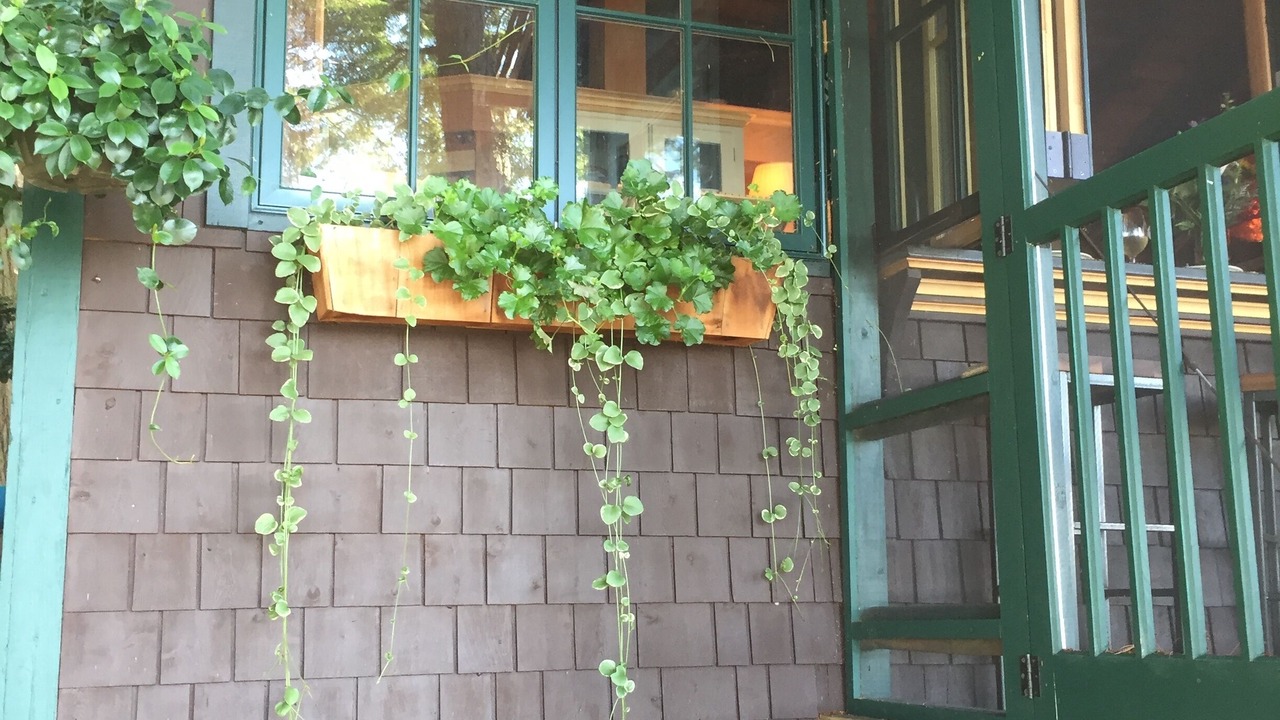 Photo of Outdoor in Chittenden County