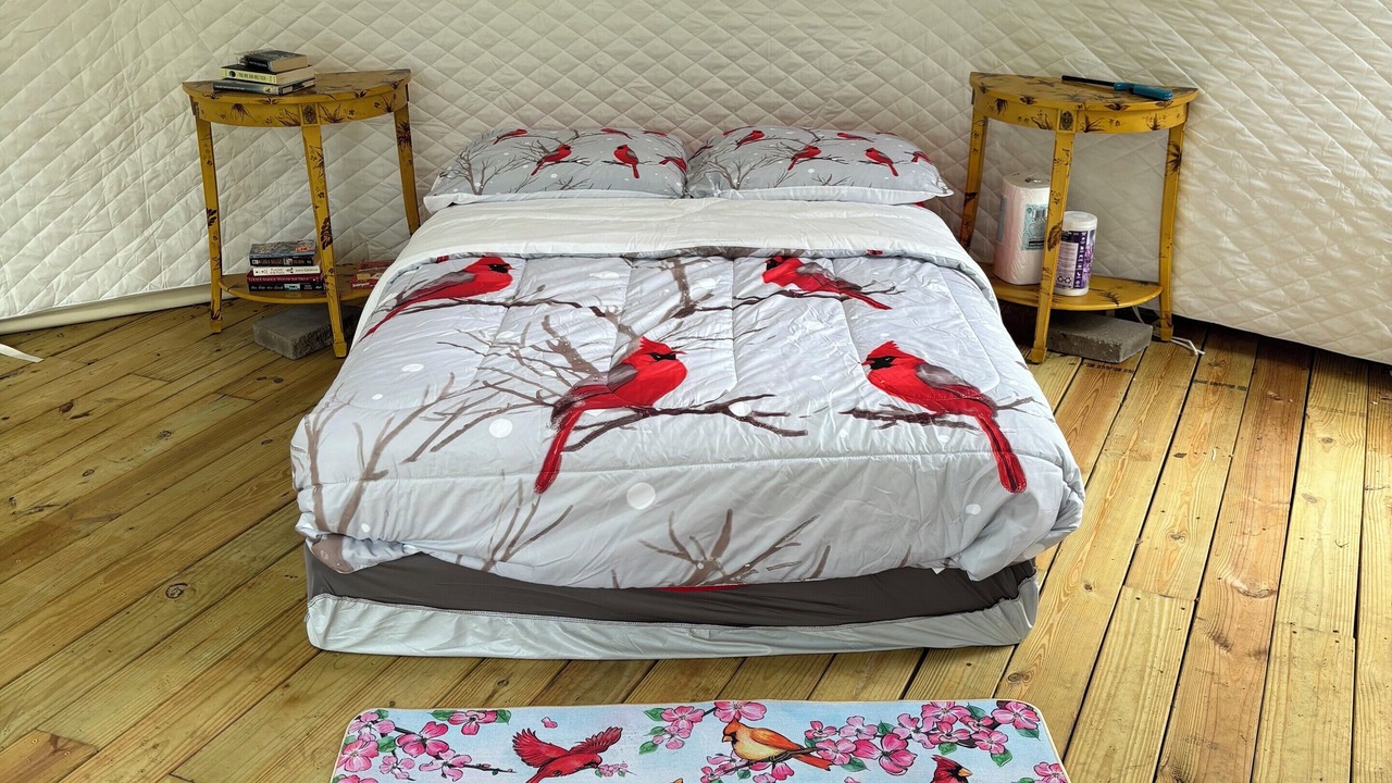 Photo of Bedroom in Siren