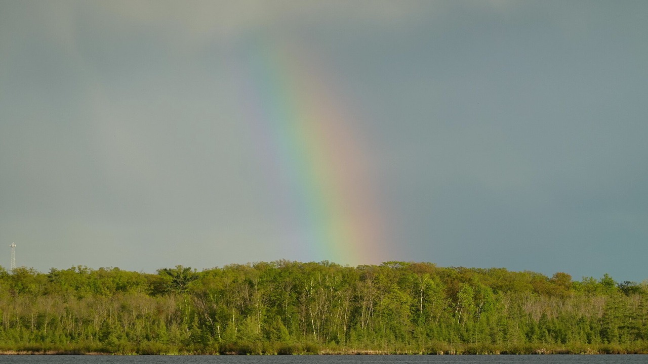 Photo of Others in Stone Lake