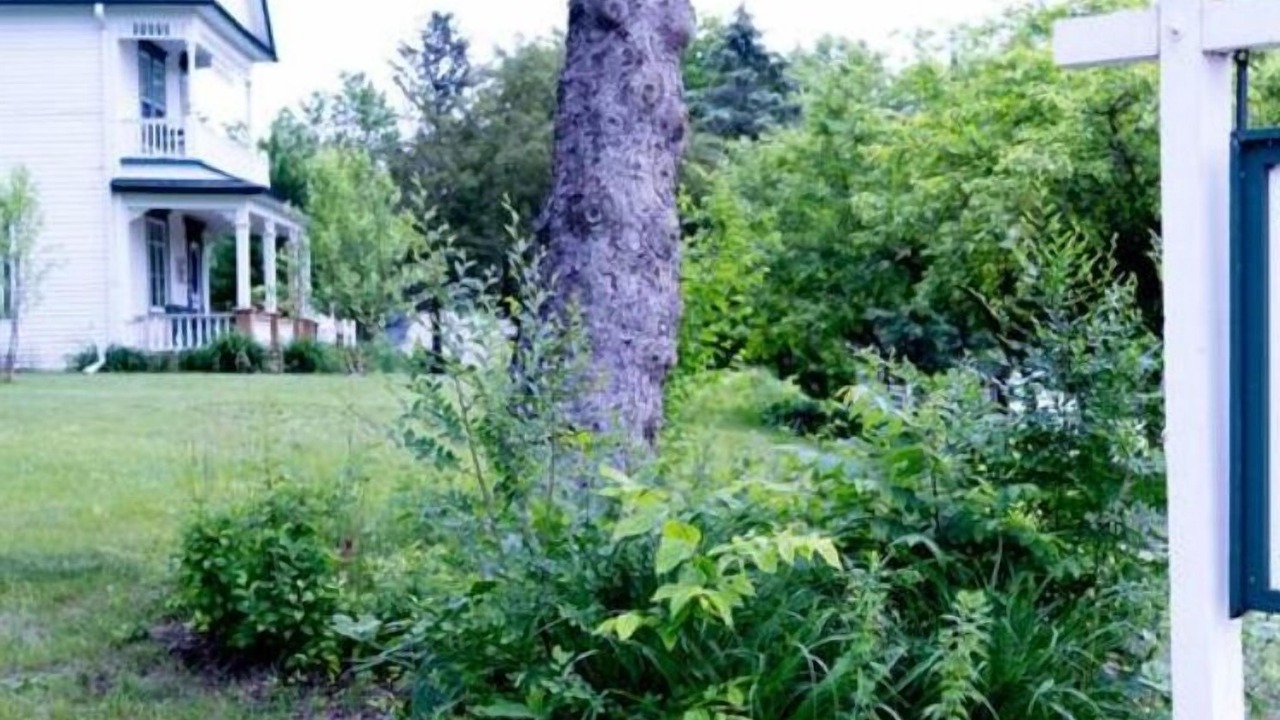 Photo of Outdoor in Pepin