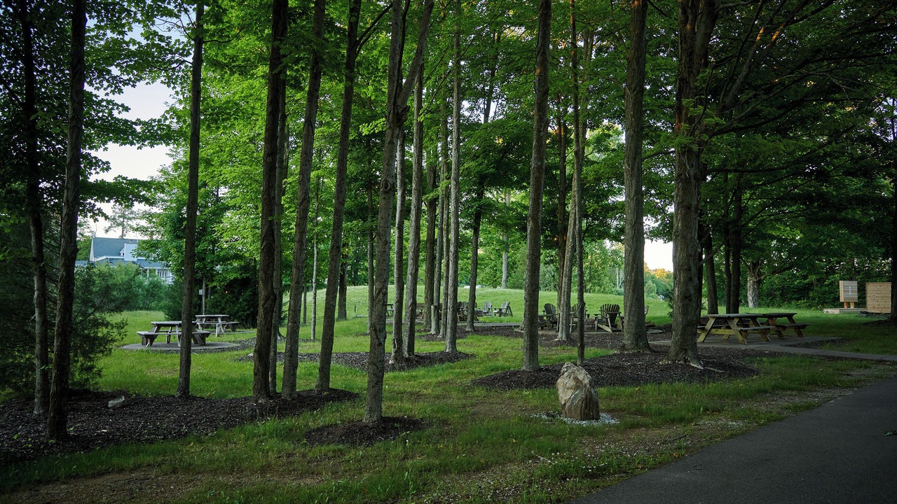 Photo of Outdoor in Fennville