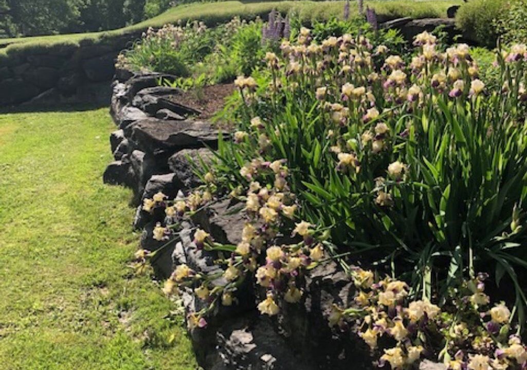 Photo of Outdoor in Enosburg Falls