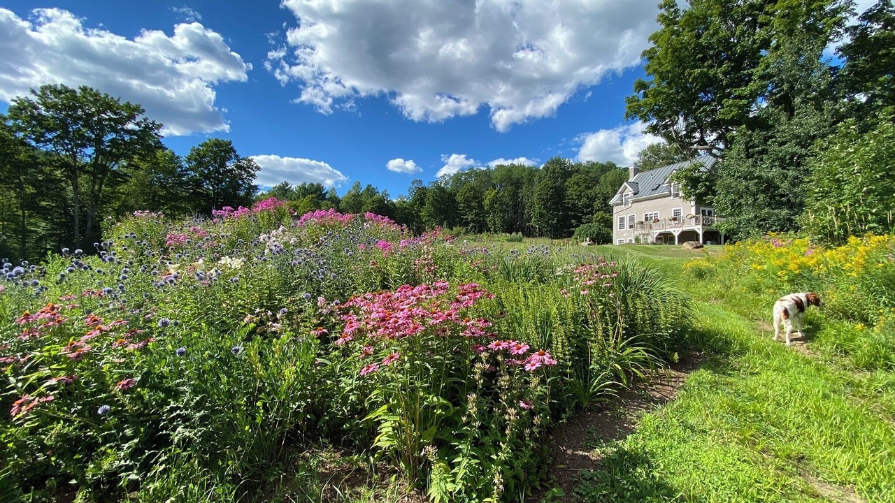 Photo of Outdoor in Corinth