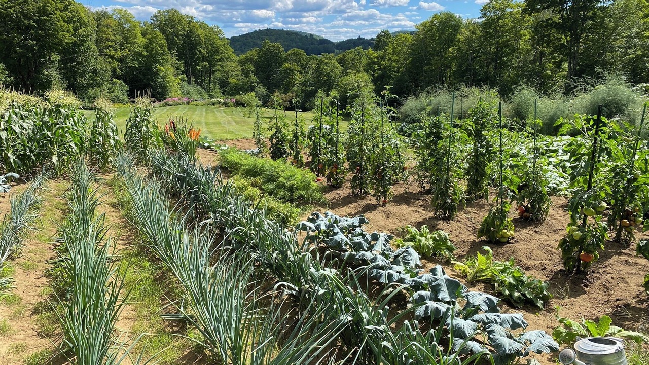 Photo of Outdoor in Corinth