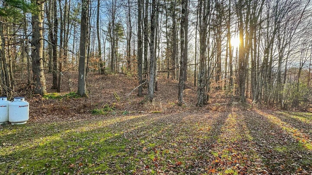 Photo of Others in East Haven  Rutland County