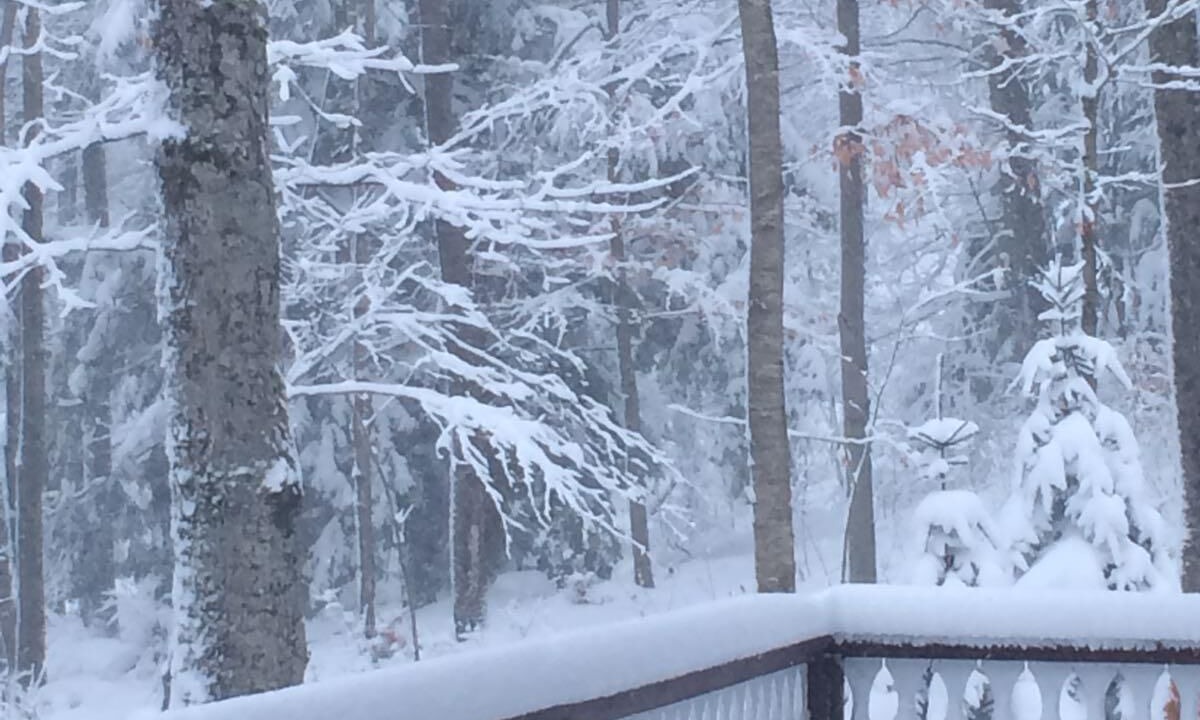 Photo of Outdoor in Montgomery Center
