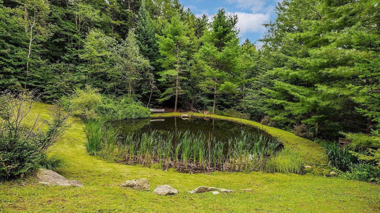 Photo of Outdoor in Winhall