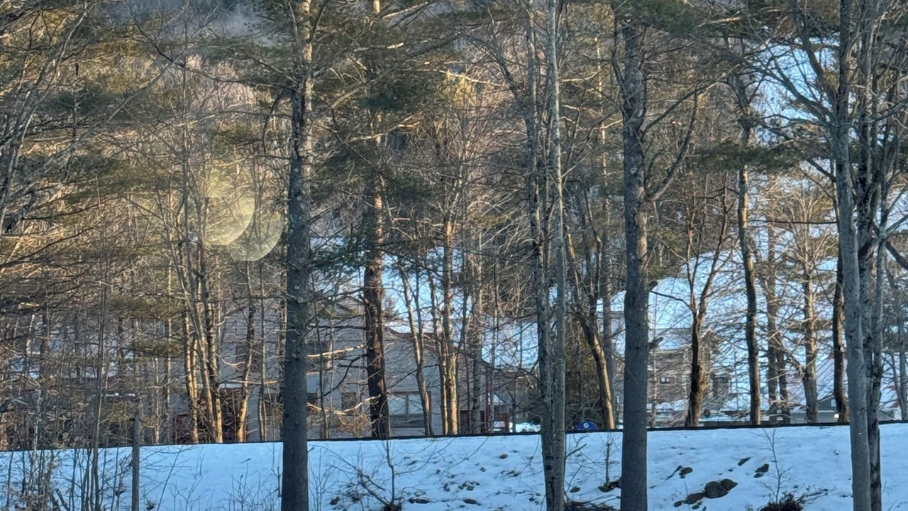 Photo of Others in Bartlett