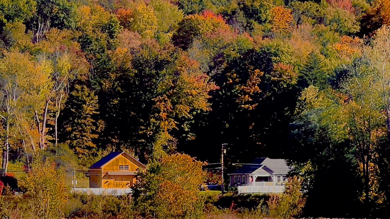 Photo of Others in Deerfield