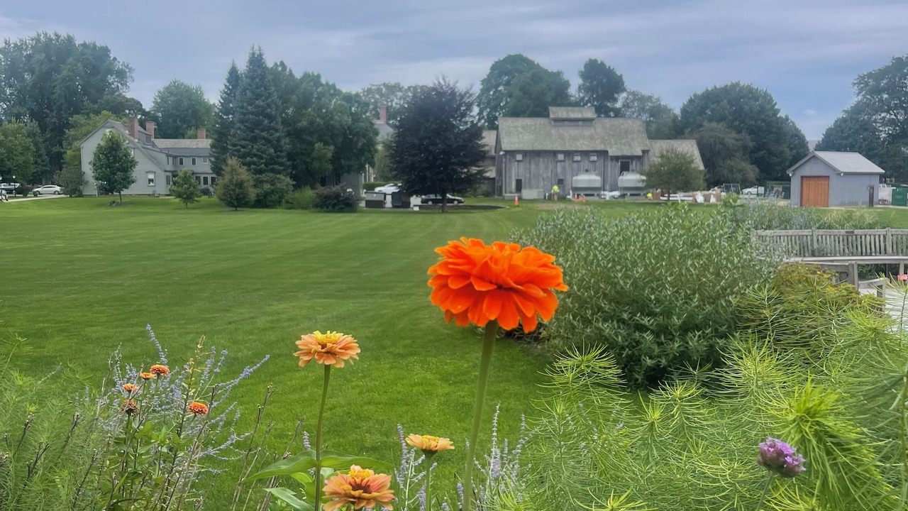 Photo of Outdoor in Deerfield
